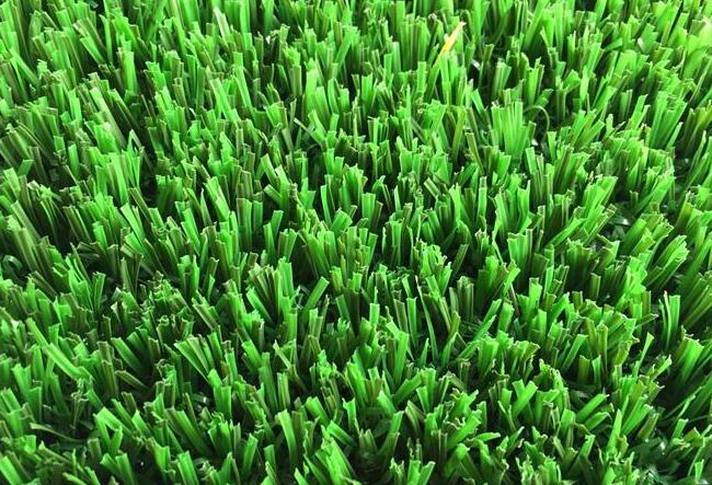 1636894021178497.jpg r3.jpg